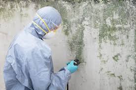 Asbestos and Lead Testing During Mold Inspection in Port Norris, NJ